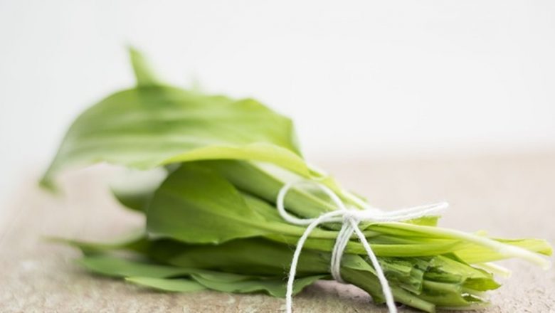 Leurda: Superalimentul Primăverii Care Detoxifică Organismul