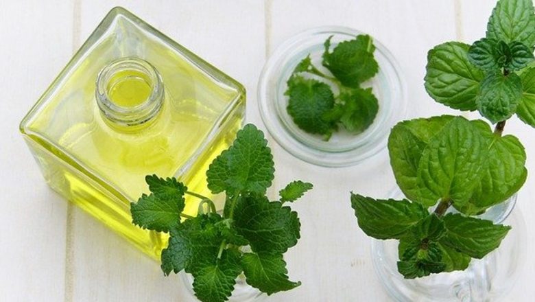 Aromaterapia cu mentă: Un remediu natural pentru concentrare și starea de spirit