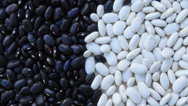 Fasolea Boabe: O Comoară Nutrițională Care Reglează Depozitele de Grăsime