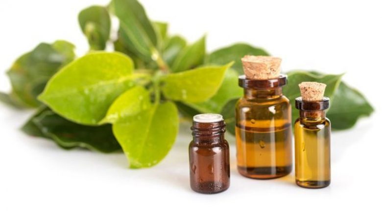 Gemoterapia: O abordare modernă a sănătății prin extracte vegetale