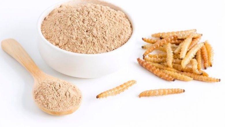 Viermii de făină: O nouă frontieră în alimentația umană și sustenabilitate