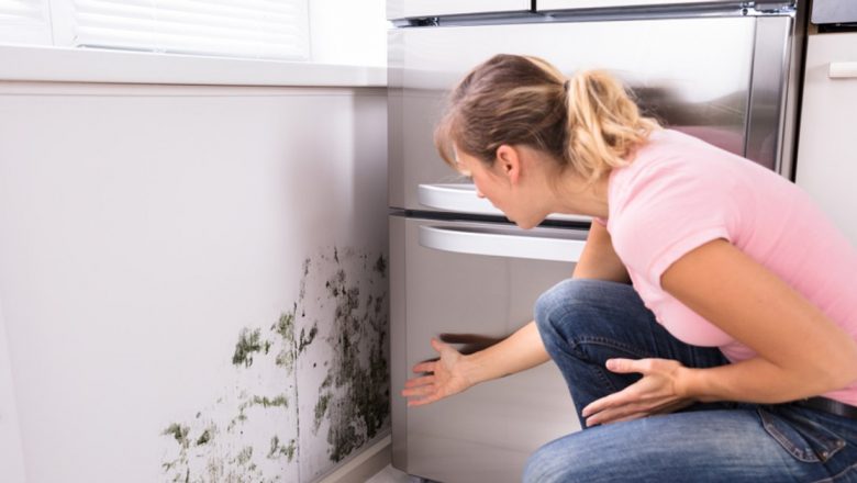 Mucegaiul Casnic: Cauze, Impact Asupra Sănătății și Măsuri de Prevenire