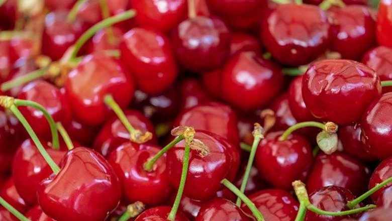 Beneficiile surprinzătoare ale ceaiului din cozi de cireşe: un remediu natural pentru rinichi și stomac
