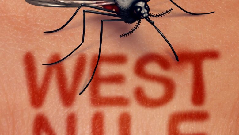 Infecția cu Virusul West Nile: Simptome, Riscuri și Măsuri de Prevenire