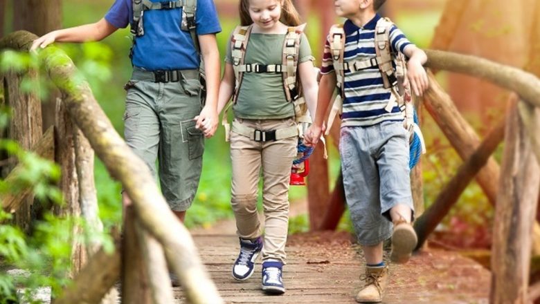 Beneficiile taberelor și excursiilor pentru dezvoltarea copilului: O analiză profundă