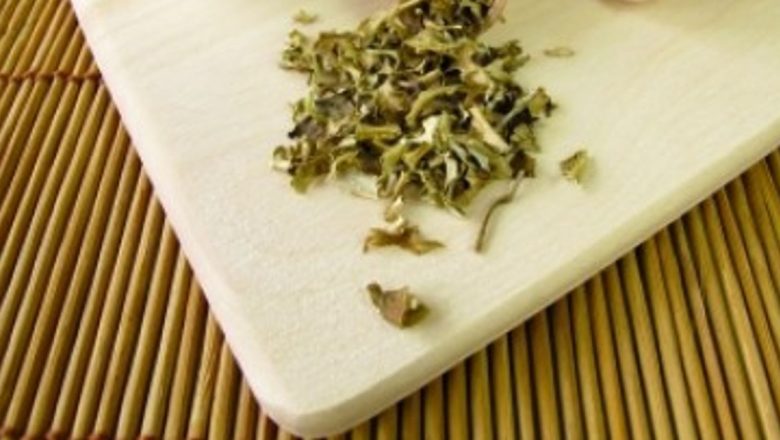 Muşchiul de piatră: Un remediu natural cu multiple beneficii pentru sănătate