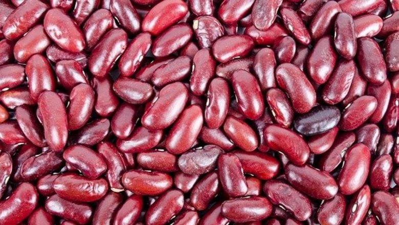 Fasolea Roșie cu Bobul Mare: O Superalimentă Plină de Beneficii pentru Sănătate