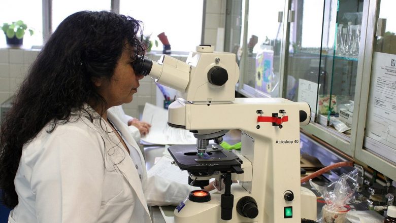 Amiloidoza ereditară tip transtiretină: O boală rară cu impact major în comunitatea din Todirești