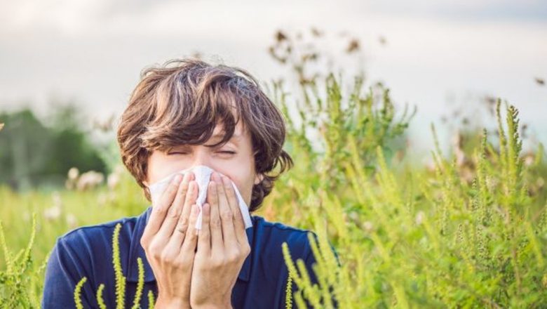 Alergia la ambrozie: simptome, tratamente și măsuri de prevenire pentru o viață sănătoasă