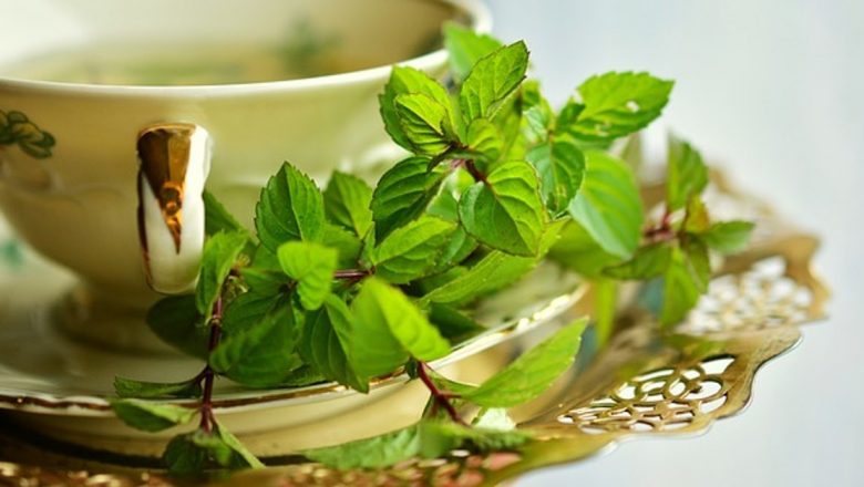 Puterea Aromelor: Impactul Frunzelor de Mentă Asupra Concentrației și Performanței Fizice