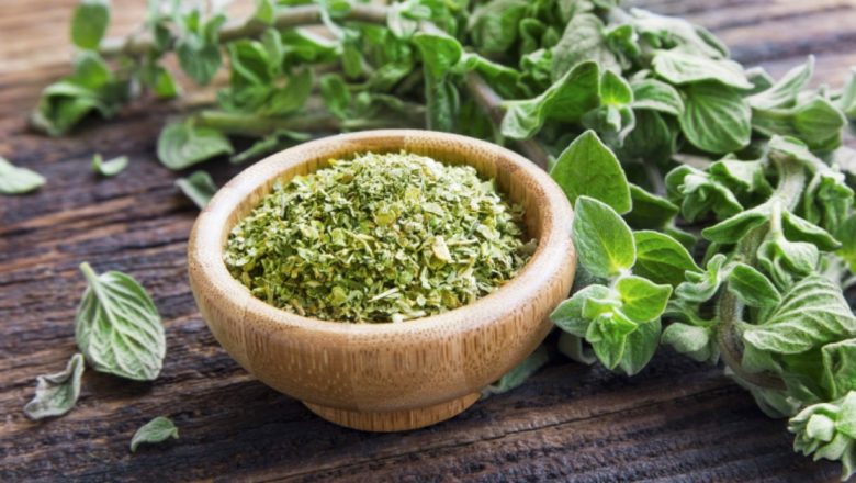 Oregano: Planta Medicinală cu Proprietăți Remarcabile în Tratarea Afecțiunilor Comune