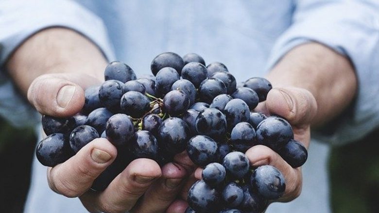 Cura cu struguri: un remediu natural pentru sănătate și siluetă