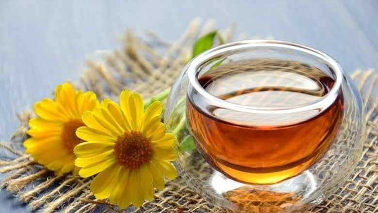 Descoperind Plantele Medicinale Ale Lunii Septembrie: O Privire Detaliată Asupra Beneficiilor Naturii pentru Sănătate