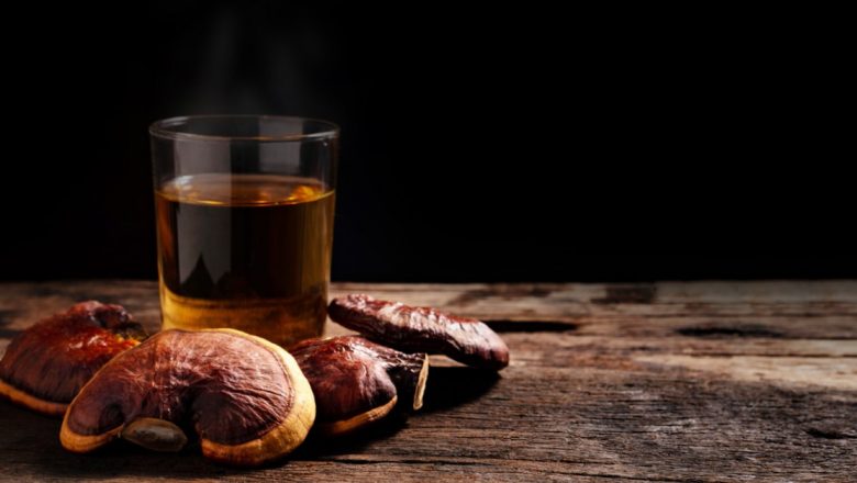 Ganoderma: Planta lui Dumnezeu și Secretele Sale Vindecătoare