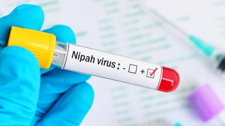 Virusul Nipah: O amenințare globală în contextul pandemiei actuale