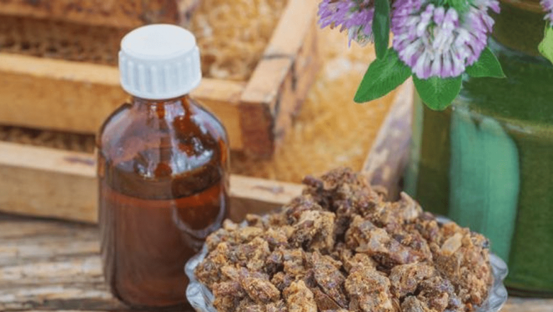 Tinctura de propolis: Beneficii impresionante și utilizări în medicina tradițională