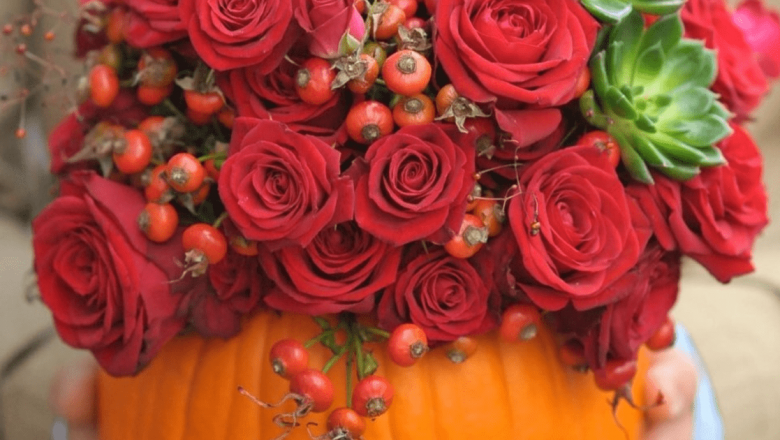 Dovlecii Înfloțiți: Noua Tendință Florală de Halloween în Viziunea lui Nicu Bocancea