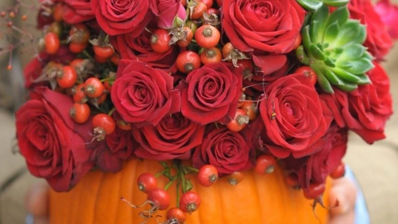 Dovlecii Înfloriți: Noua Tendință a Toamnei în Aranjamentele Florale de Halloween