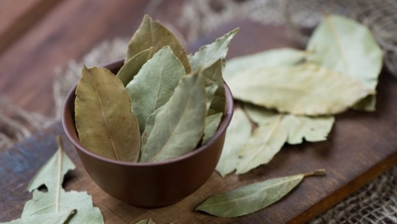 Beneficiile Frunzelor de Dafin: Soluții Naturale pentru Anxietate și Probleme Digestive