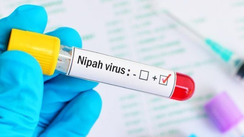 Virusul Nipah: O Amenințare Potențială pentru Umanitate și Implicațiile Sale