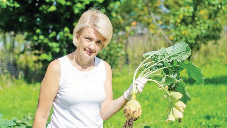 Napul: O Legumă Cruciferă cu Proprietăți Anticancerigene Remarcabile