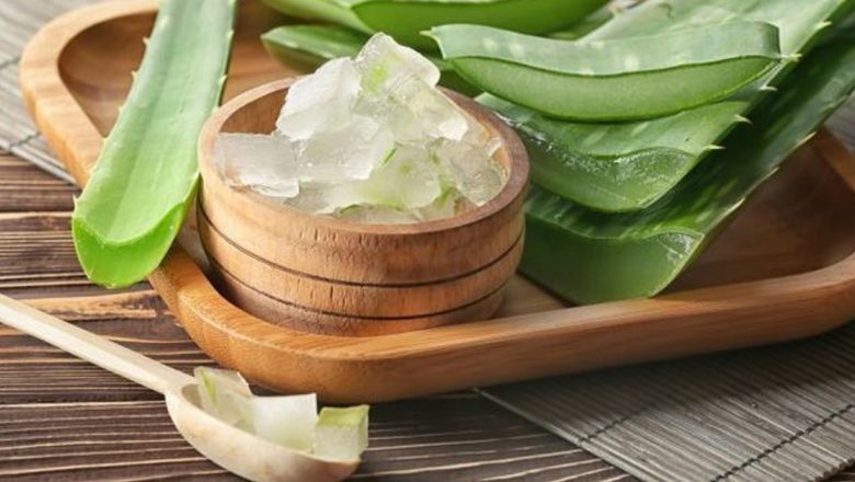 Aloe Vera: Leacul Antic cu Beneficii Moderne pentru Sănătate