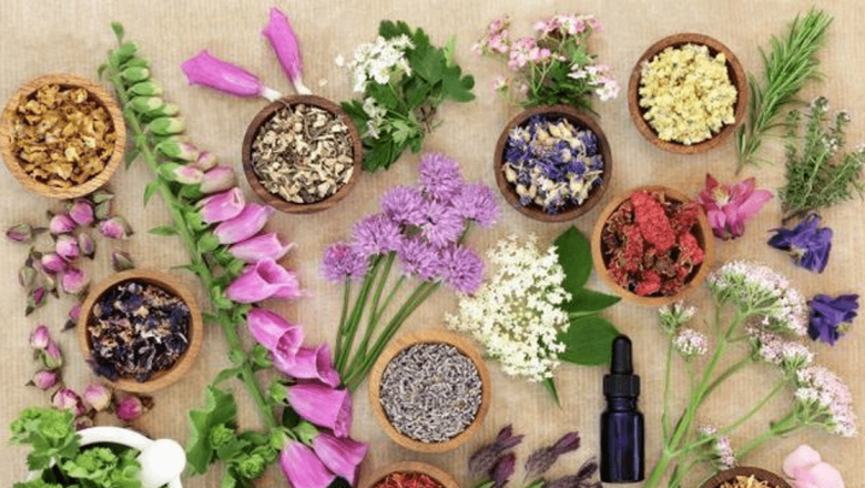 Remedii Naturale pentru Sănătatea Femeilor: Plante cu Proprietăți Medicinale și Beneficiile Lor