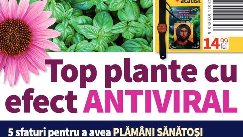 Revista Click!Sănătate! – Decembrie: O Privire Detaliată asupra Sănătății în Sezonul Sărbătorilor