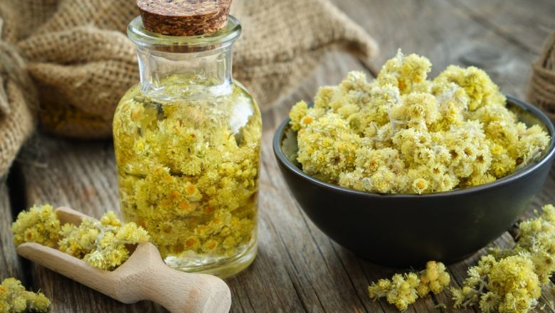 Siminocul: O comoară a medicinei tradiționale pentru bolile digestive și reumatism