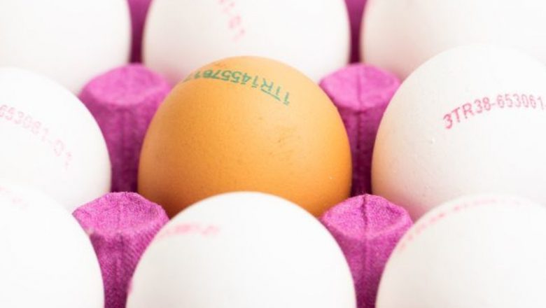 Decodificarea cifrelor de pe ouă: Ce trebuie să știm pentru o alimentație sănătoasă