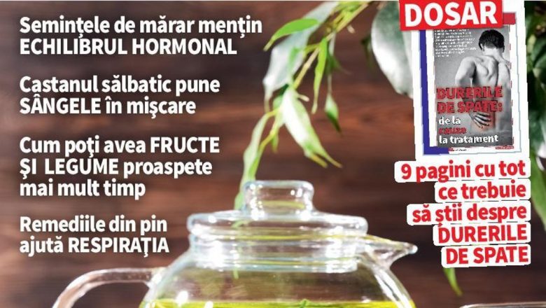 Revista Click!Sănătate: O Privire Detaliată asupra Numărului de Ianuarie 2022