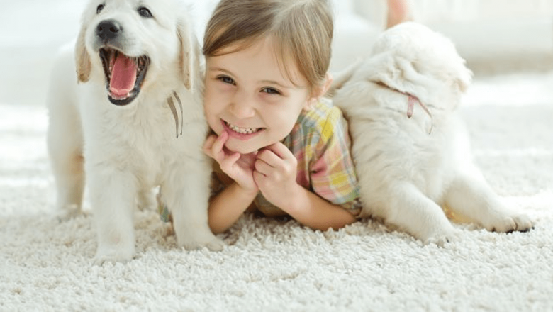 Între prietenie și responsabilitate: Ghidul părinților privind animalele de companie și sănătatea copiilor