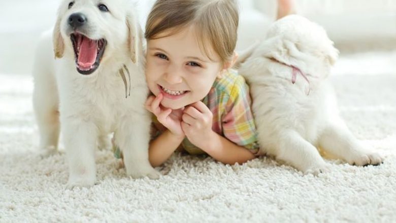 Prietenii blănoși și riscurile ascunse: Ghid pentru părinți în alegerea animalului de companie pentru copii