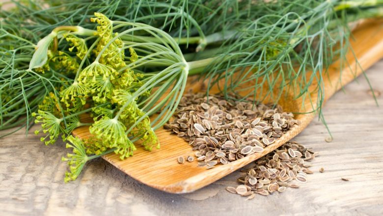Secretele semințelor de mărar: remediul natural pentru insomnie și echilibrul hormonal