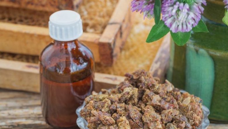 Miraculosul propolis: Beneficiile și utilizările farmaciei albinelor în tratarea afecțiunilor