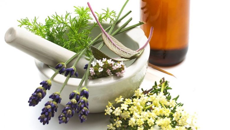 Plantele ca Aliate în Detoxifiere: 6 Soluții Naturale pentru Sănătatea Ta