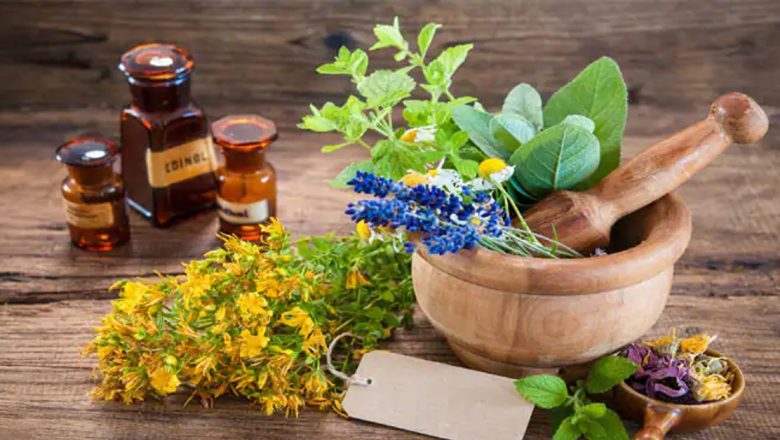 Antibioticele Naturale: Soluții Eficiente pentru Combaterea Infecțiilor cu Ajutorul Plantelor