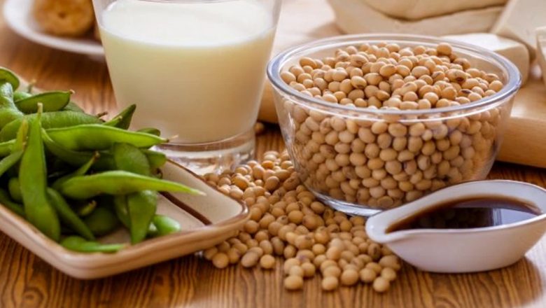 Descoperirea proteinelor: Surse ideale pentru vegetarieni și impactul lor asupra sănătății