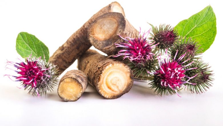 Brusturele: Planta Miraculoasă pentru Detoxifiere și Sănătate Generală