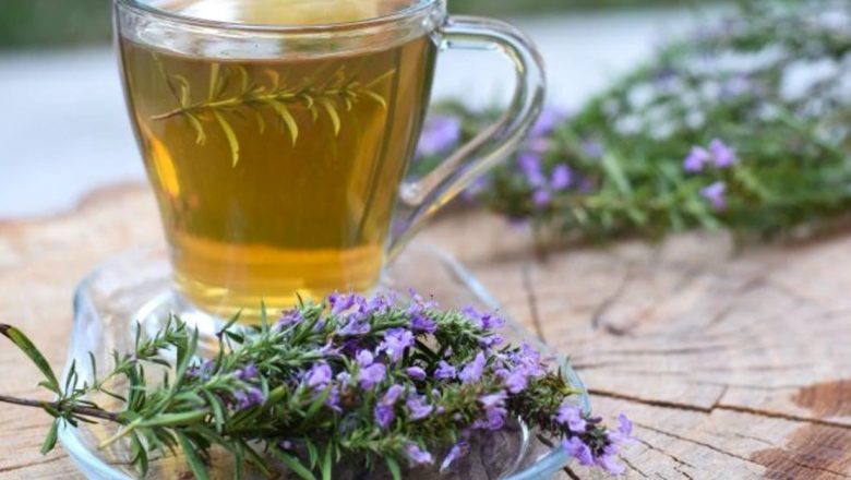 Plantele Medicinale Care Purifică Plămânii: Soluții Naturale pentru O Sănătate Respiratorie Optimală