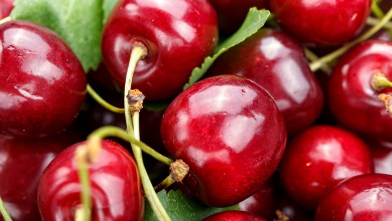 Cireșele: Fructe Delicioase cu Beneficii Remarcabile pentru Sănătate