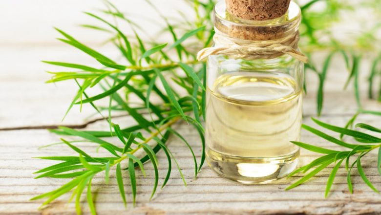 Uleiul din arbore de ceai: Remediul natural pentru bolile de piele și nu numai