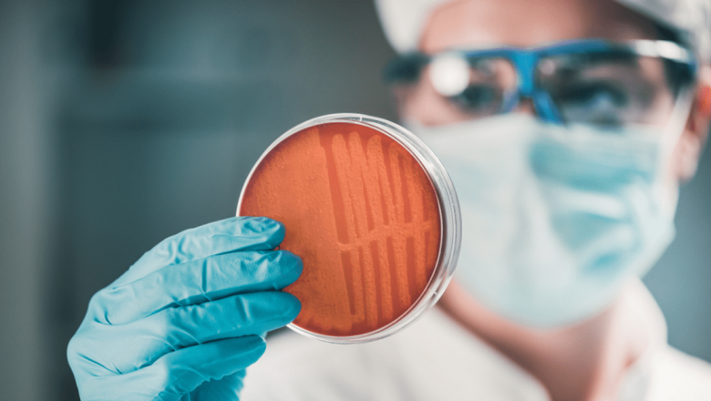 Stafilococul auriu: O privire detaliată asupra infecțiilor și impactului său în societate