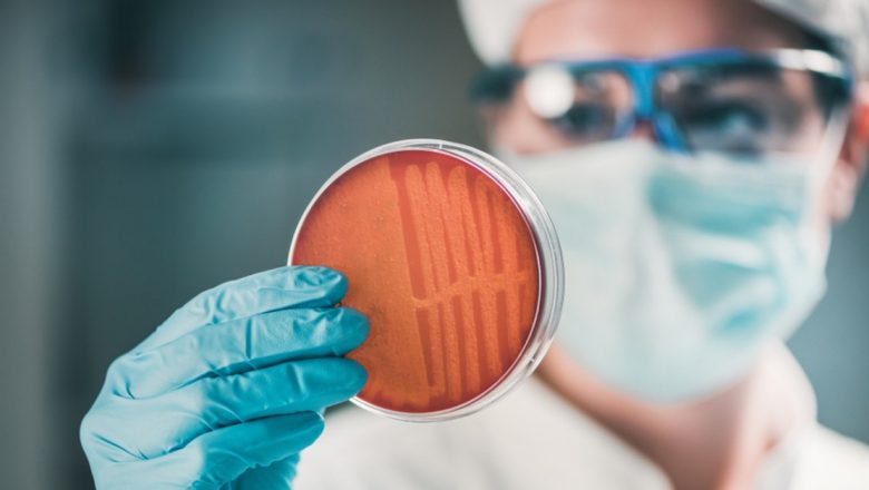Stafilococul Auriu: O Bacterie Comune cu Implicații Severe pentru Sănătate