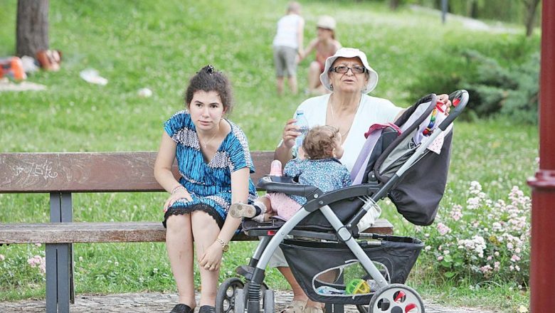Remedii Naturale Eficiente pentru Înțepăturile de Țânțari: Cum Să Calmezi Disconfortul și Să Previne Complicațiile