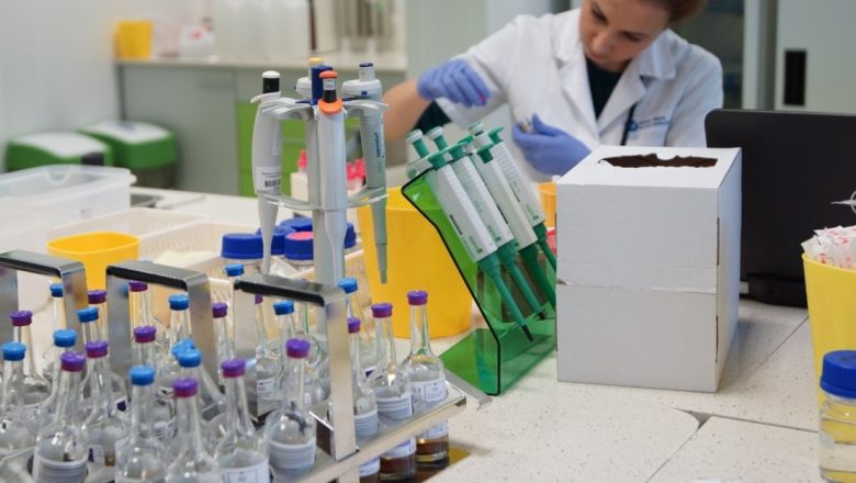 Revoluția Celulelor Stem: O Nouă Speranță în Tratarea Bolilor Deja Utilizate