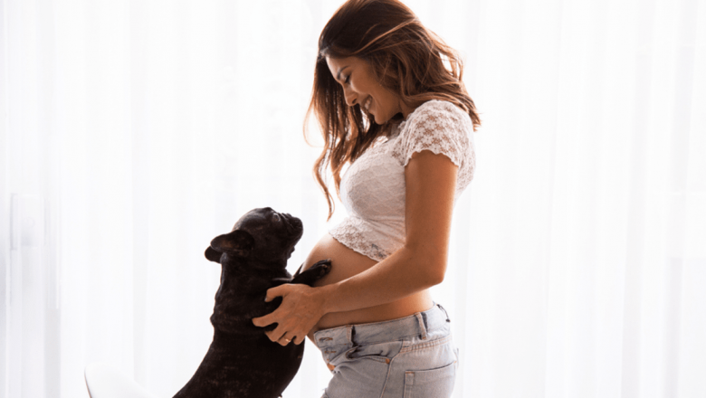 Impactul Animalelor de Companie asupra Sănătății Mintale: Studiul Câinilor și Pisicilor în Contextul Depresiei Post-Partum