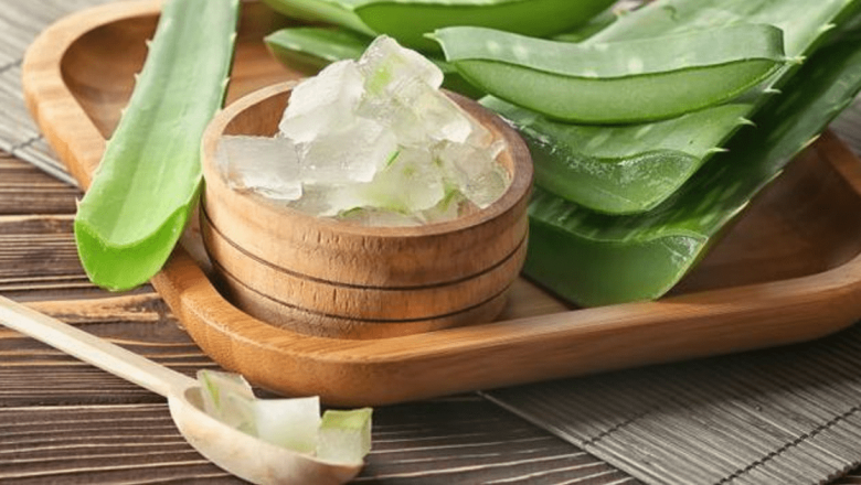 Descoperă Beneficiile Aloe Vera: Istorie, Utilizări și Precauții