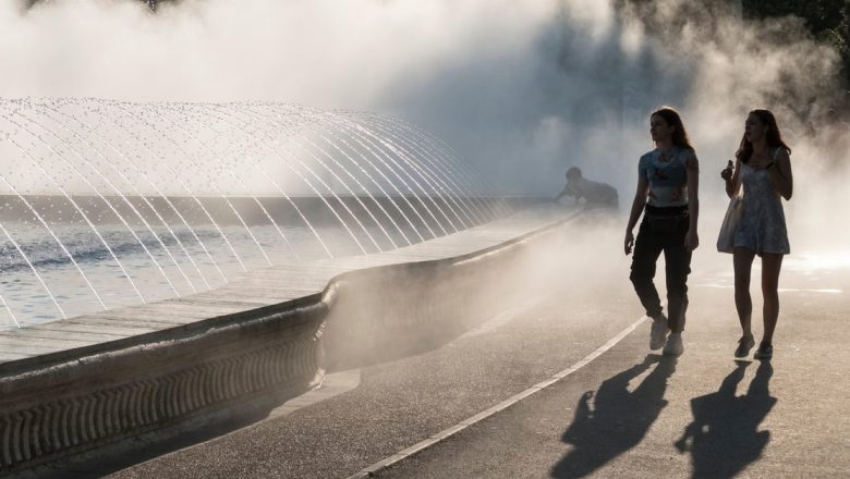 Impactul caniculei asupra sănătății: riscuri și măsuri de protecție pentru cei vulnerabili