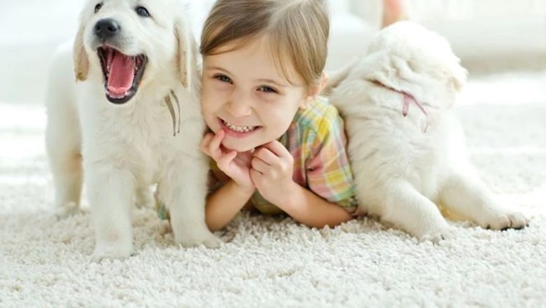 Importanța Fierului în Alimentația Copiilor: Ghid Complet pentru Părinți